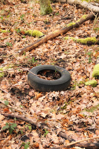 istock old tires in the forest 1438714146