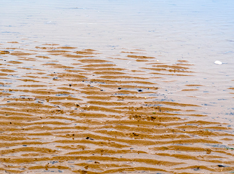 Sand ripples in standing water at low tide on the beach at Old Hunstanton in Norfolk, Eastern England, Shells and worm casts add variety to the textured effect.