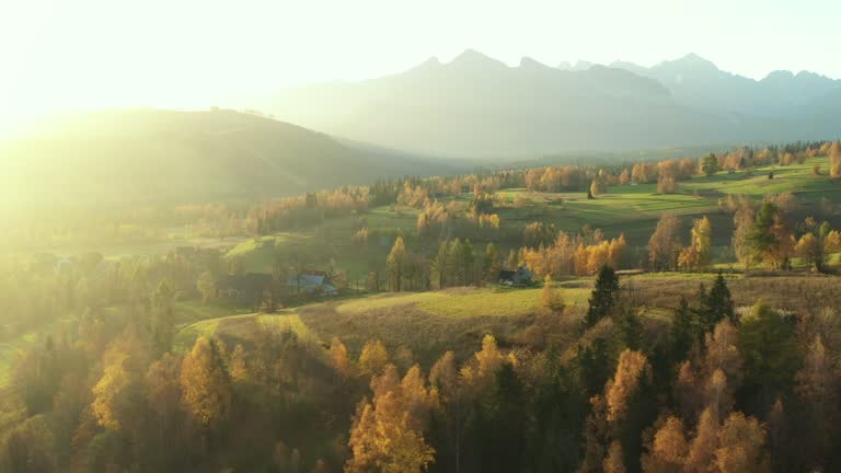 Colorful autumn in the Polish Tatra Mountains