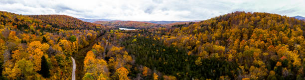 istock Aerial panoramic view of forest in autumn 1438722110