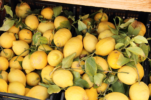 fresh lemons at the weekly market
