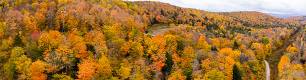 istock Aerial panoramic of windmill in the woods 1438722146