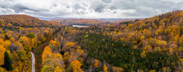 istock Aerial panoramic view of forest in autumn 1438722148