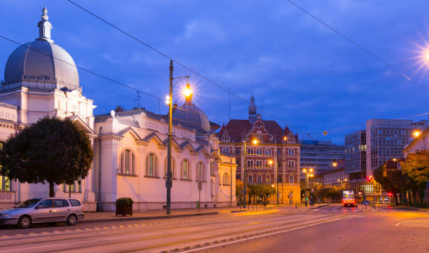 istock Night cityscape of Szeged with bathing complex 1438724298
