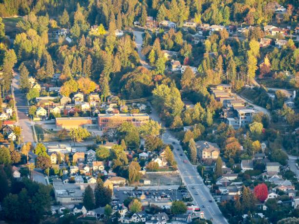 istock The Reddest Tree in Nelson 1438727944