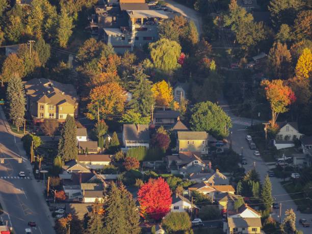 istock The Reddest Tree in Nelson 1438727981