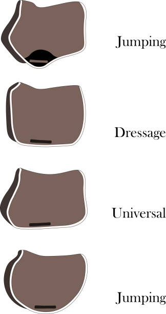 ilustrações de stock, clip art, desenhos animados e ícones de a set of different models of saddle pads. linear contours with a fill example. dressage saddle pad, unviersal saddle pad, jumping saddle pad. samples of ammunition for equestrian sport. - saddle blanket