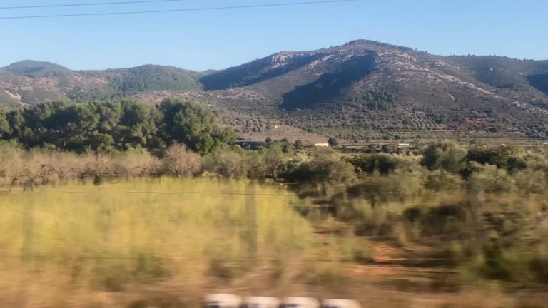 Landscape seen from train in motion