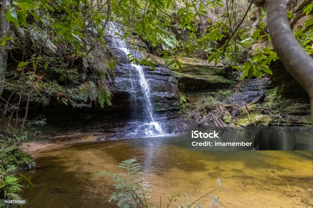Pool of Siloam with waterfall in Blue Mountains National park, background with copy space Pool of Siloam with waterfall in Blue Mountains National Park NSW, full frame horizontal composition Adventure Stock Photo