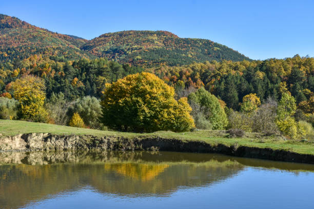 istock Nature backgrounds, lake, forest and sky background 1438731334