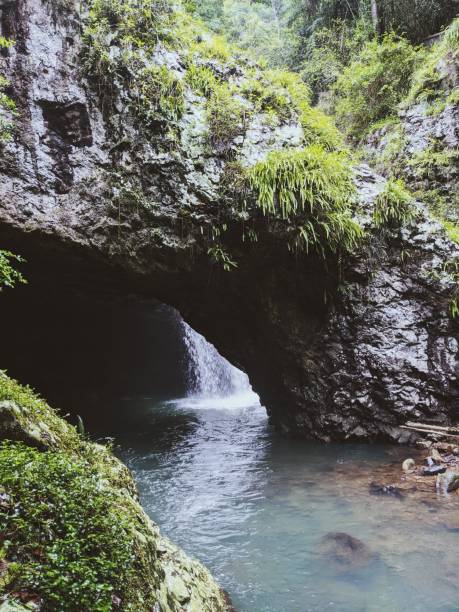 istock Natural bridge in Springbrook National Park, Queensland, Australia 1438734451
