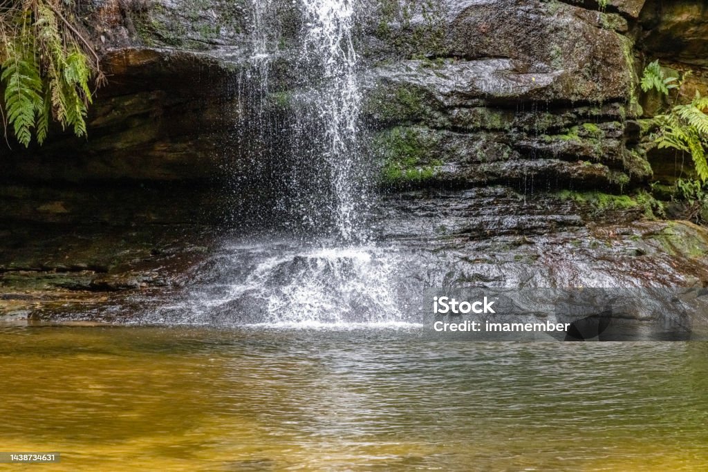 Pool of Siloam with waterfall in Blue Mountains National park, background with copy space Pool of Siloam with waterfall in Blue Mountains National Park NSW, full frame horizontal composition Adventure Stock Photo