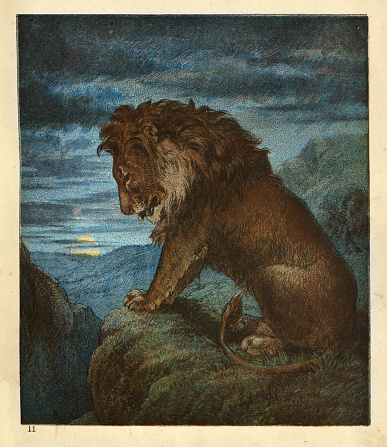 Vintage illustration Lion on a clifftop watching the sunset, King of the jungle, Victorian art