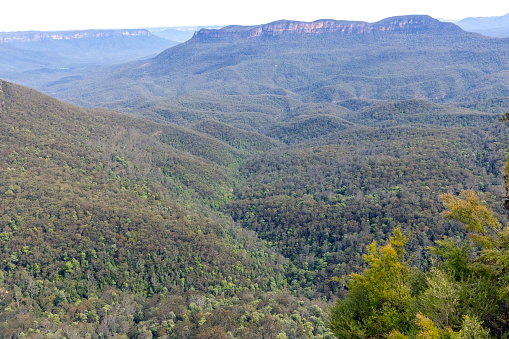 Haze over Jamison Valley in Blue Mountains National Park, background with copy space, full frame horizontal composition