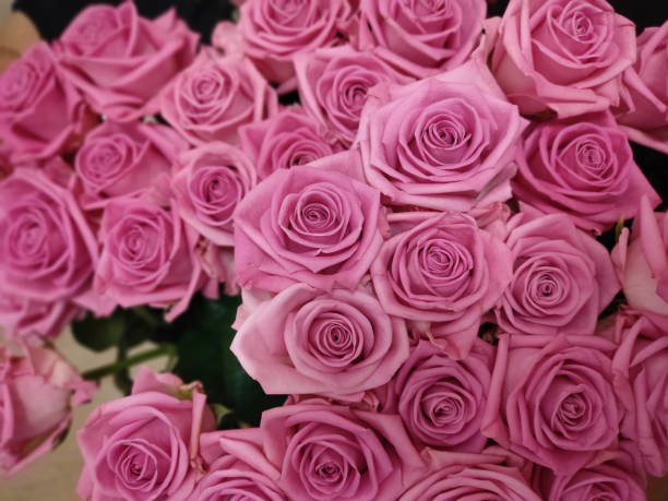 istock Bouquet of pink roses 1438740866