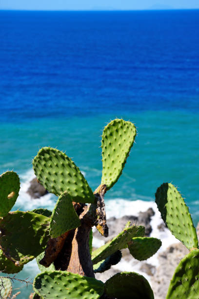 istock capo vaticano Calabria Italy 1438746323