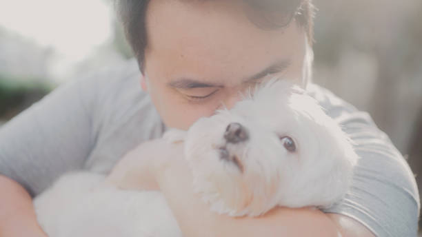 istock Asian men showing love to dogs 1438746580
