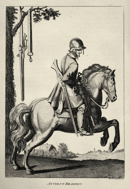 żołnierz dragonów, piechota konna, 17th century military history - warhorse stock illustrations