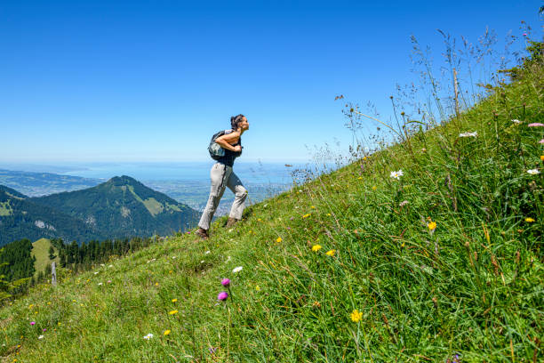 young woman hiking in the mountains - mountain european alps meadow landscape imagens e fotografias de stock