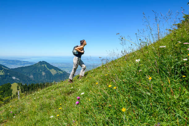 молодая женщина, походы в горы - austria summer european alps mountain стоковые фото и изображения