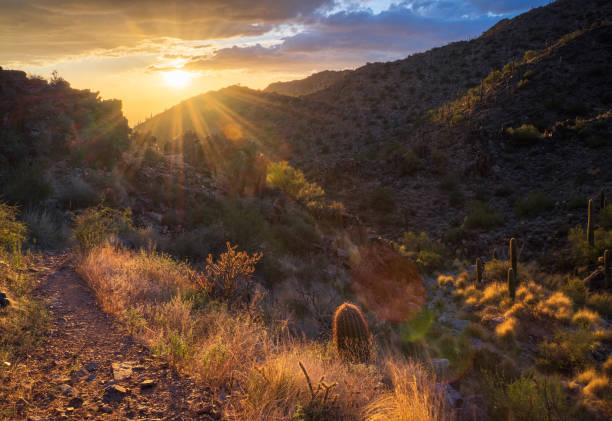 istock Sunset in The Majestic Mcdowell Mountains 1438748031