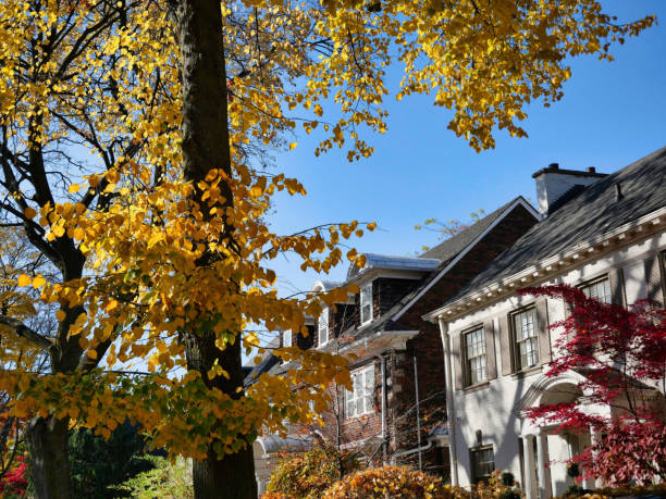 istock Residential neighborhood with fall colors 1438748090