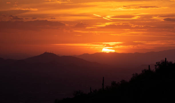 ultima luce su scottsdale, arizona - photography north america cactus plant foto e immagini stock