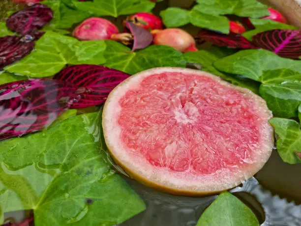 Photo of Beautiful ornameltal composition of green leaves and grapefruit