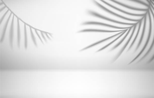 istock Bright interior with shadow of palm leaves on the wall. 3d vector illustration 1438751346