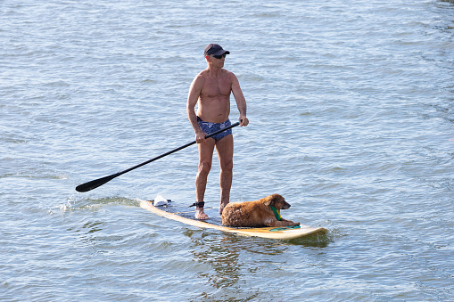 Santos, Brazil. October 30, 2022. Man practicing stand up paddle with his companion dog.