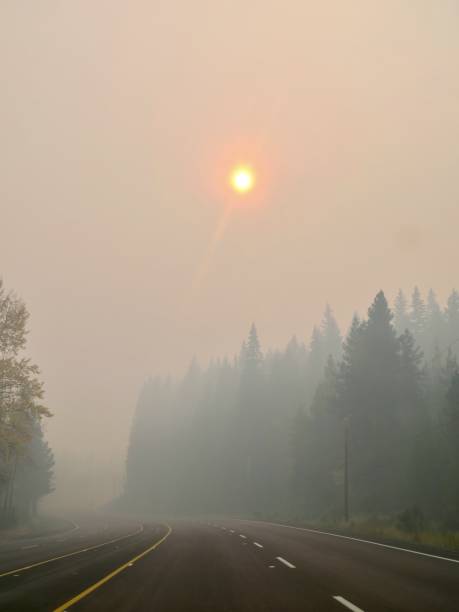 istock Road Trip through Wildfire Smoke 1438757240