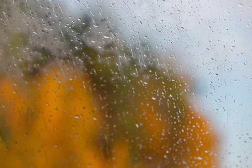 Abstract blurred background. Rainy window view. Rain drops on the window glass. Autumn yellow trees on the background. Fallen leaves