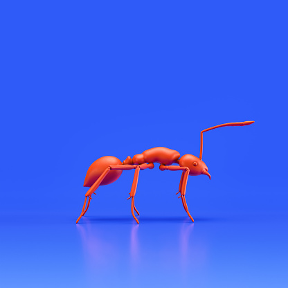 Ant monochrome single color insect. Red color single varmint from side view, profile, bug, 3d rendering, nobody