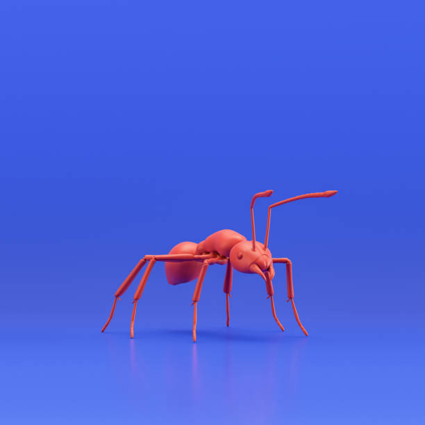 istock Ant monochrome single color insect. Red color single varmint from angle view, bug, 3d rendering 1438762998