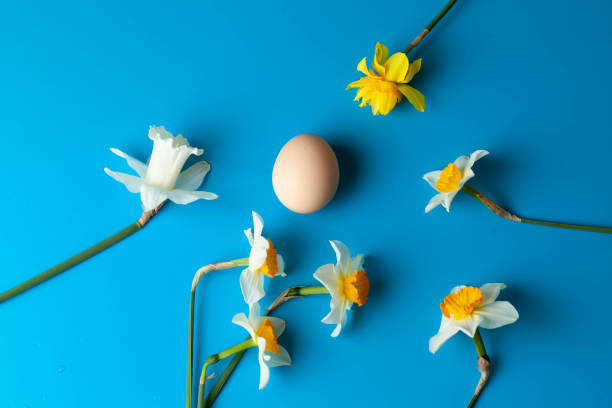 istock Passover Jewish holiday 1438765093