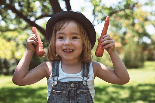 Cute little boy holding fresh organic carrots. Concept of homegrown produce and healthy eating.