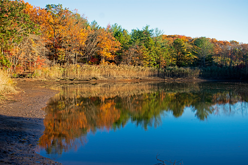 Perrine Pond at Cheesequake State Park with reflections of brilliant autumn foliage on a sunny day