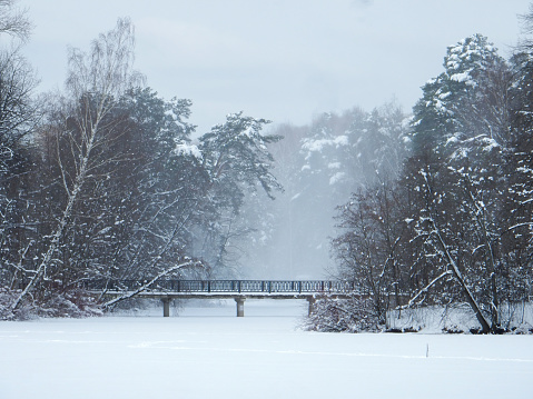 bridge over a frozen pond in a snowy winter forest. High quality photo