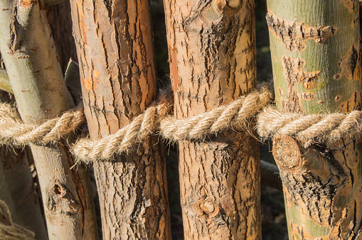 Rope tied in a knot around wooden poles, fence posts. Closeup.