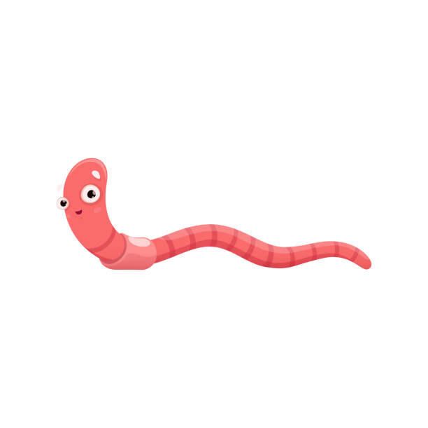 ilustraciones, imágenes clip art, dibujos animados e iconos de stock de divertido personaje de dibujos animados de gusano, lombriz de tierra del jardín - fishing worm