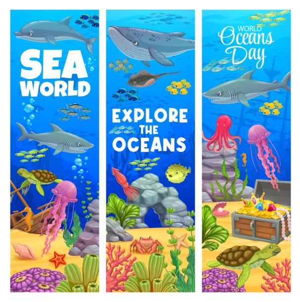 ilustrações de stock, clip art, desenhos animados e ícones de cartoon underwater landscape banners, sea bottom - starting at the bottom