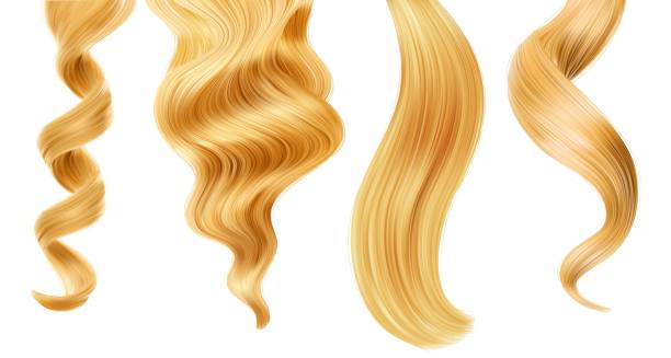 błyszcząca blond kobieta kosmyk włosów, lok lub kucyk - hair care human hair women blond hair stock illustrations
