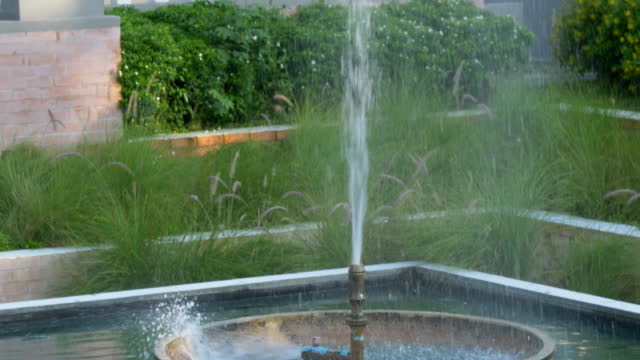 The backyard has a fountain.