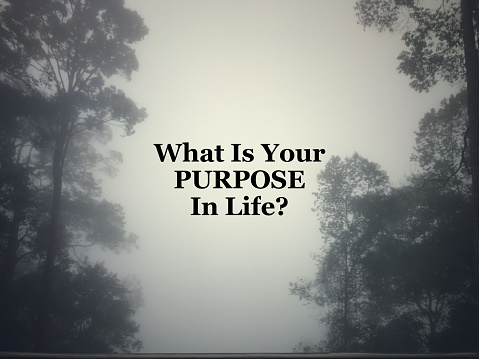 What is your purpose in life. Written on blurred vintage style background.