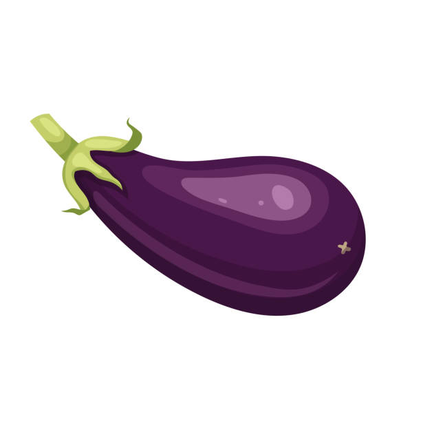 ilustraciones, imágenes clip art, dibujos animados e iconos de stock de ilustración vectorial de dibujos animados vegetales berenjena - eggplant