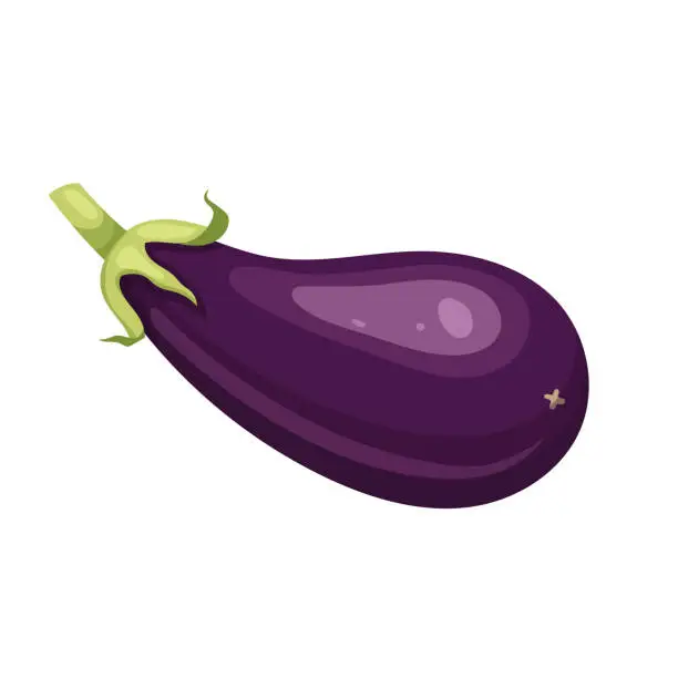 Vector illustration of eggplant vegetable cartoon vector illustration