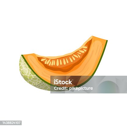 Free Clipart: Musk Melon | gnokii