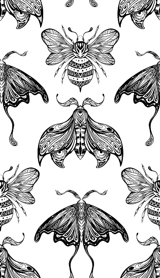 Vector seamless pattern with ink drawing bee and moth with boho decoration. Entomology fabric swatch on white background. Monochrome texture with night butterfly and bumblebee with tracery ornament.
