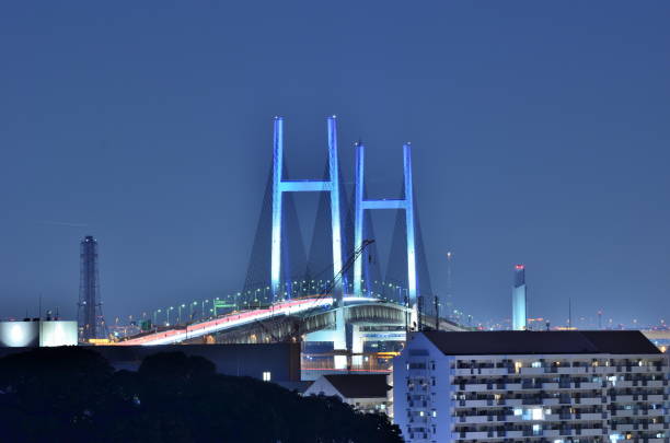 istock Yokohama Bay Bridge illuminated from Honmoku Sancho Park 1438832750