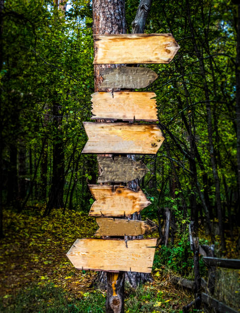 Wooden signs-pointers in a deep dark forest.